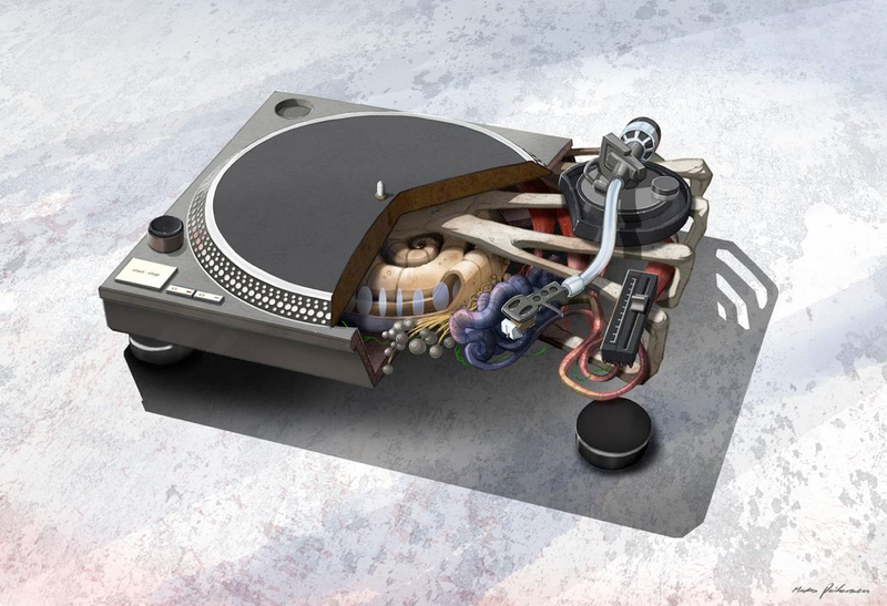 Illustration for article titled The Secret Guts of DSLR Cameras and Turntables